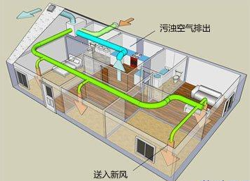 甲醛超标怎么办？这3种甲醛克星可以快速除醛除异味