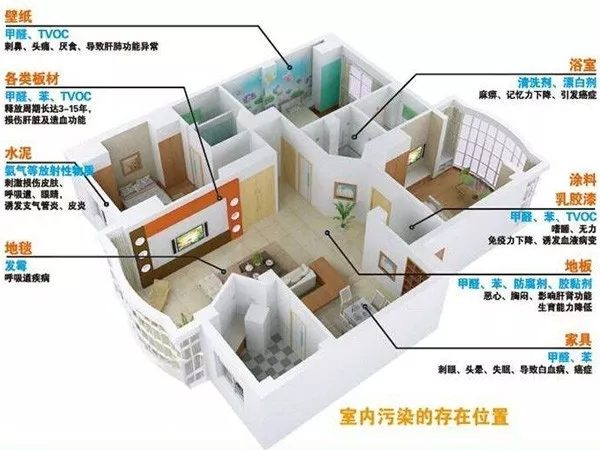 想实现一个月急住新房，又担心甲醛反弹？不用怕跟着做