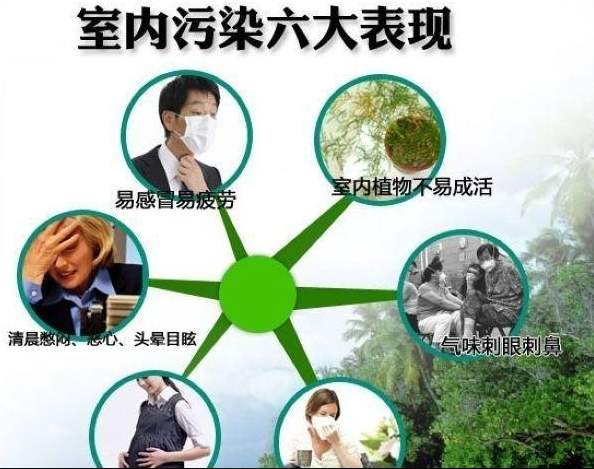 跟着内行人这样做，科学除甲醛，快捷又安全