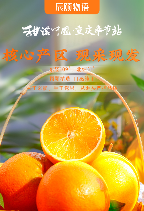 辰颐物语“甜满中国”重庆奉节站，脐橙溯源之旅即将开启！