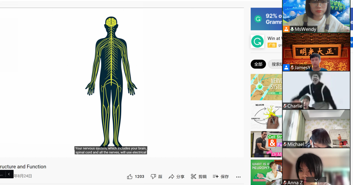 天津美达菲生物教师网课教学心得体会