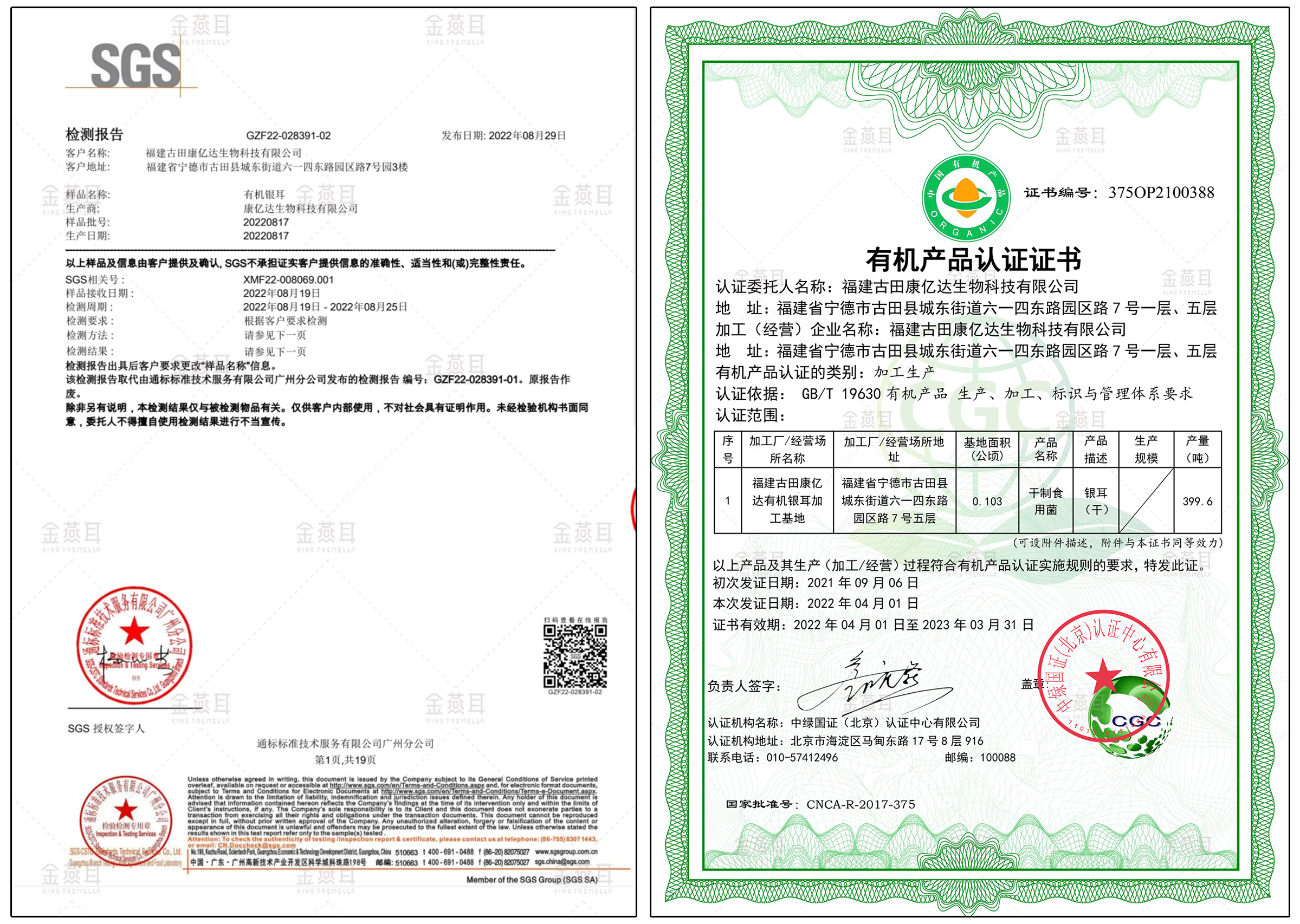 金燕耳怎么样？好品质银耳更具食养价值 | 金燕耳银耳的五大品质优势展示