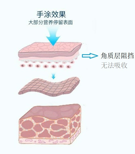 高教授微晶淡皱 