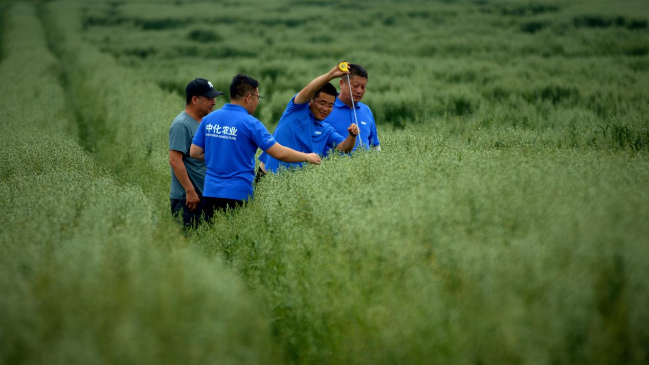 MAP携手合作社让阿旗农牧民日子富起来：年人均增收3000余元