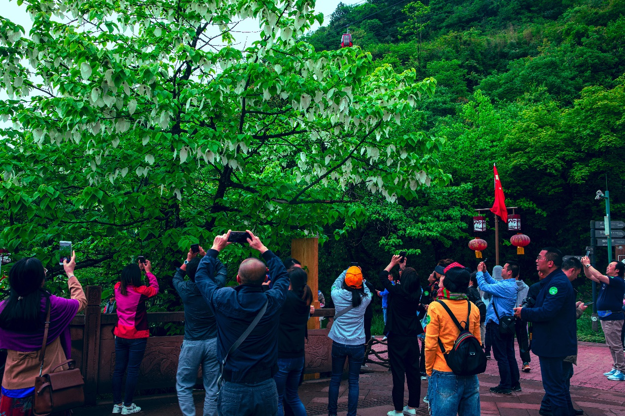 “何须名苑看春风，瓦屋山花不负侬”