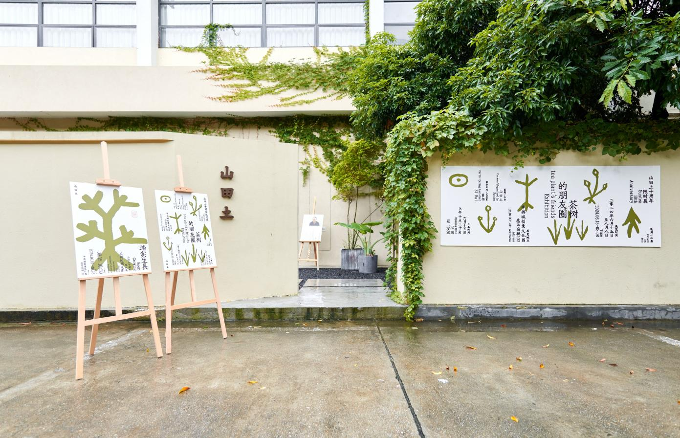 ​从城市到茶山：茶品牌山田土十周年艺术展《踏实 · 茶树的朋友圈》